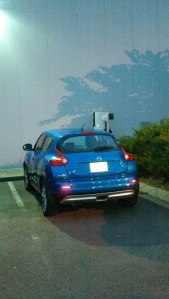 Juke ICE'd Quick Charge